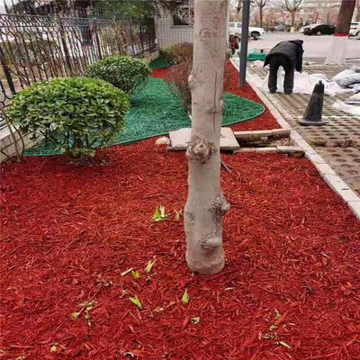 绿化工程有机覆盖物 染色树皮的应用与优势
