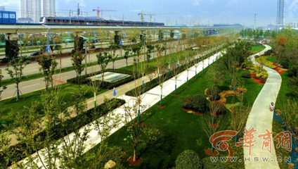西安欧亚大道变身巨型盆景打卡地，年底将完成全部栽植绿化工程