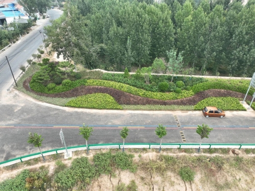 新绛县林业局持续提升县域道路生态绿化水平景观工程成效显著