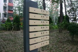 2008社会精品工程 北京清华东路道路绿化工程解析