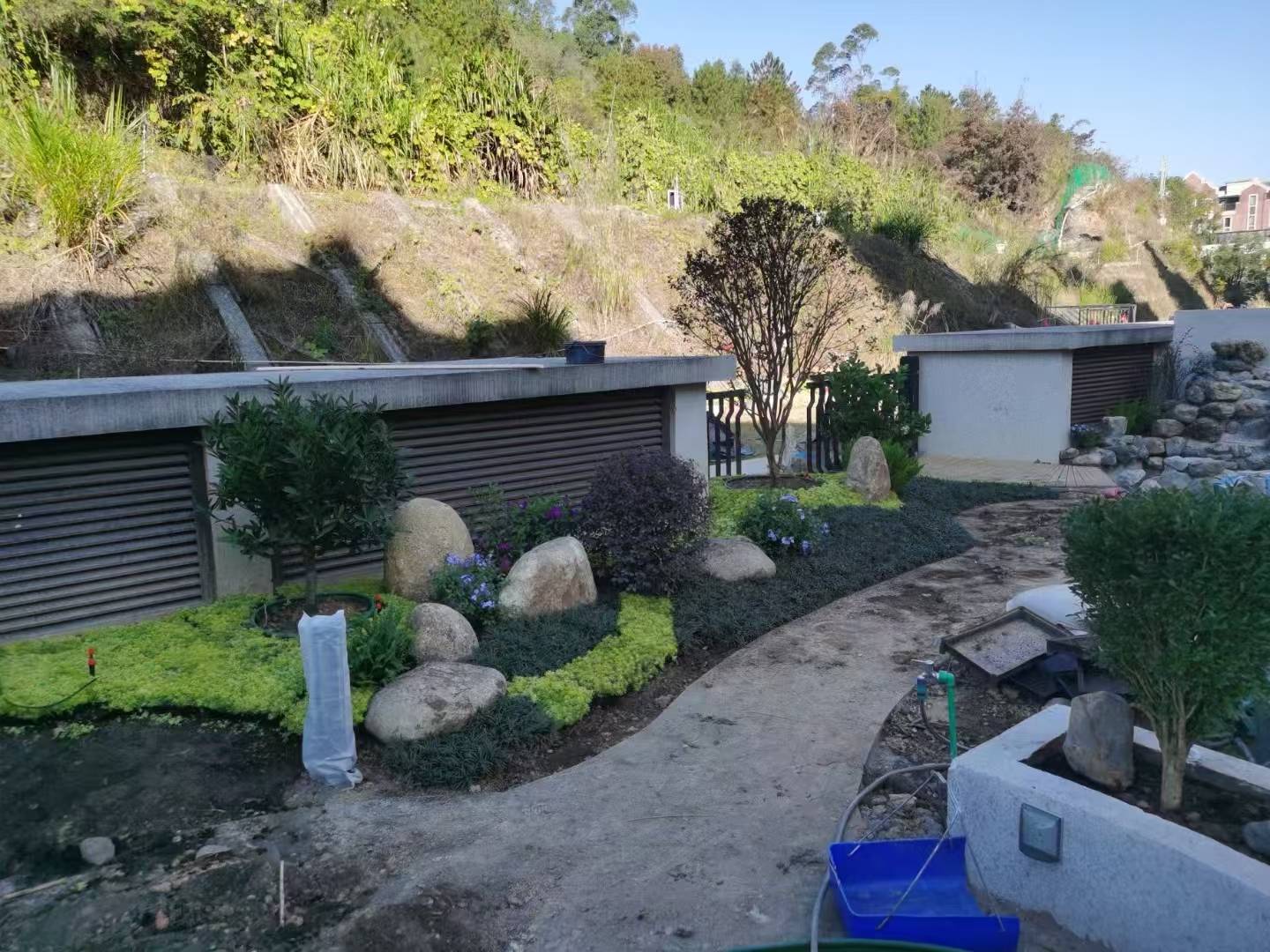 厦门景观施工绿化工程 城市中的绿意叙事
