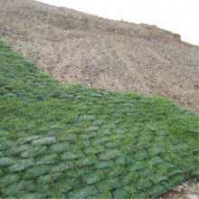 公路护坡新选择 生态植草袋助力绿色工程