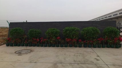 南宁亚马逊仓储中心绿化工程 构建生态与现代物流的和谐共生