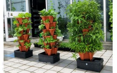 阳台农业鱼菜共生立体栽培箱 家庭农业与景观工程的绿色革新