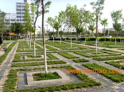 芳源园艺 专业承接佛山绿化养护与景观工程建设