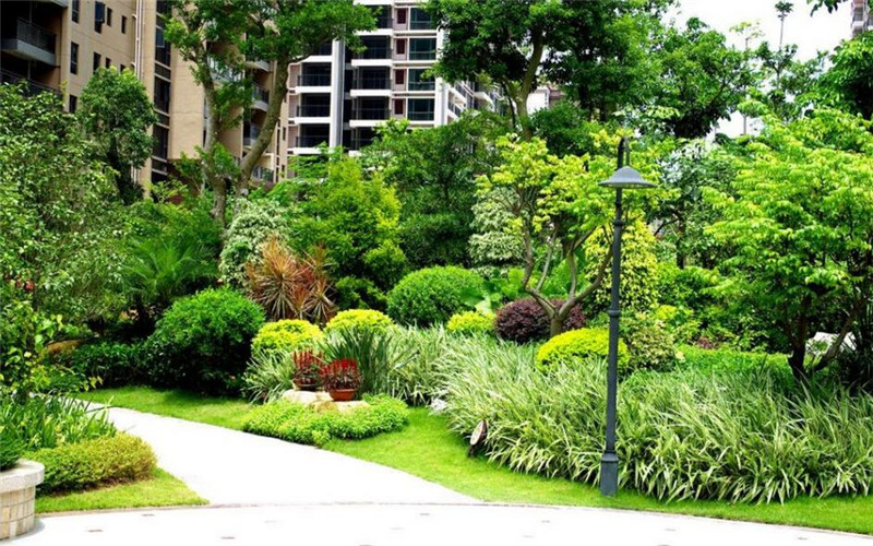 贵阳推进立体空间绿化二期工程 打造空中绿廊与特色景观