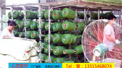 那曲索县引进PE仿真草坪，开启高原绿化新篇章