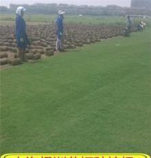 匠心筑景，自然天成——我们的景观工程产品展示