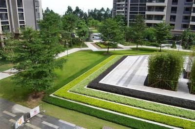 构建和谐生态空间 解析绿化组团、层级绿化与广场景观工程的融合设计